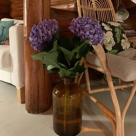 Cosy Vibe And Nature In The By The Semesterbostad Gilleleje