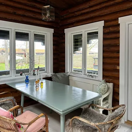 Cosy Vibe And Nature In The By The